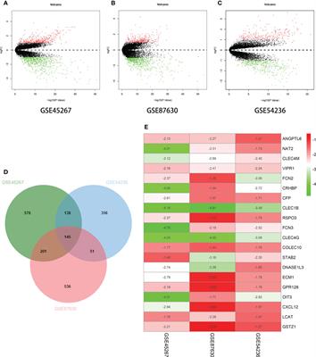 Ficolin-2: A potential immune-related therapeutic target with low expression in liver cancer